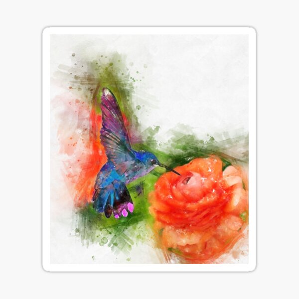 Pegatina Colibrí y rosas acuarela colorida de crcutler Redbubble