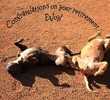 Retirement by bellecards