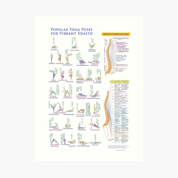 Spinal Nerve And Reflexology Chart Art Print Atelier Yuwa Ciao Jp