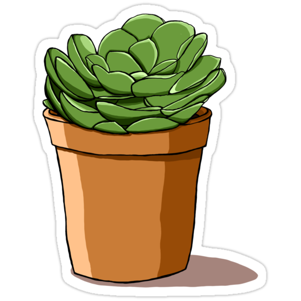 Green Succulent Stickers By Hungrydesigns Redbubble