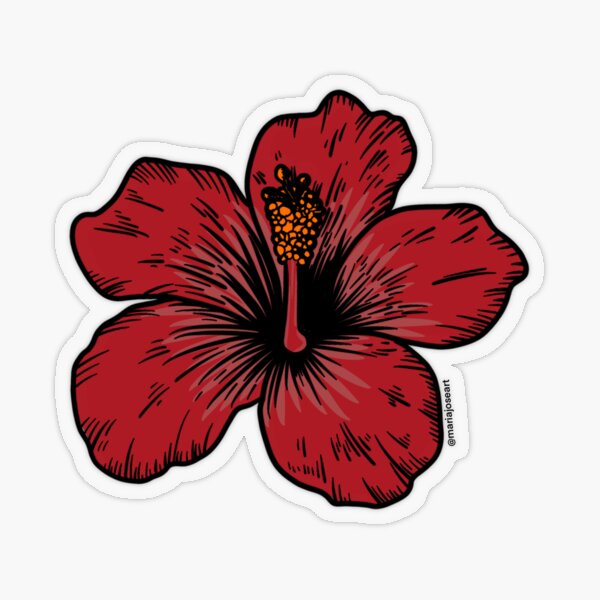 Hibiscus Flower Sticker By Mariajoseart Redbubble