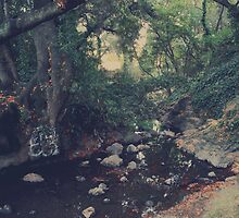 The Secret Spot by Laurie Search