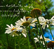 The flower that follows the sun does so even on cloudy days by Scott Mitchell