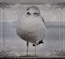 Seagull Affirmations by PineSinger