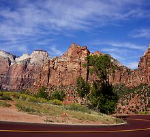Following the Red Brick Road by Nancy Richard