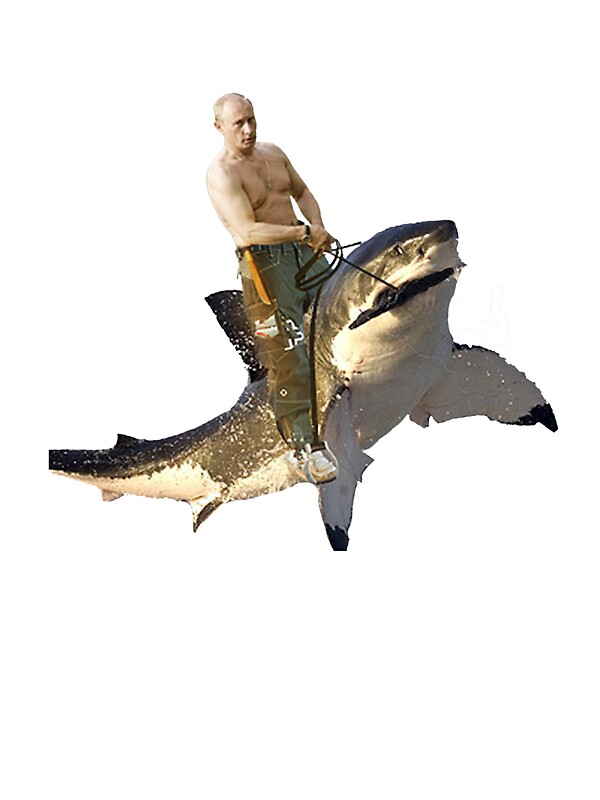 "Putin riding a shark" Stickers by Frogpen | Redbubble