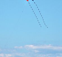 Let's Go Fly A Kite by Jane Neill-Hancock