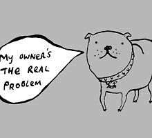 Staffies Aren't Evil by Sophie Corrigan