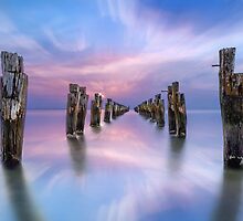 Walk On Water by Shannon Rogers