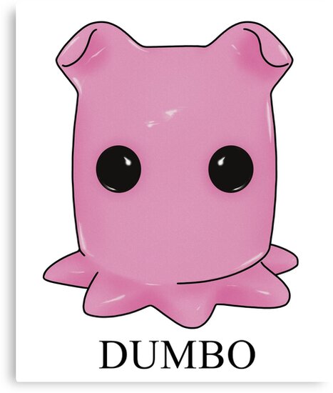 Pink Dumbo Octopus Canvas Print By Icetouched Redbubble