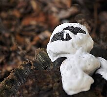 Casper the fungus...for Manon!!! by Poete100