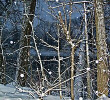 Trees By The River In A SnowStorm by Jane Neill-Hancock