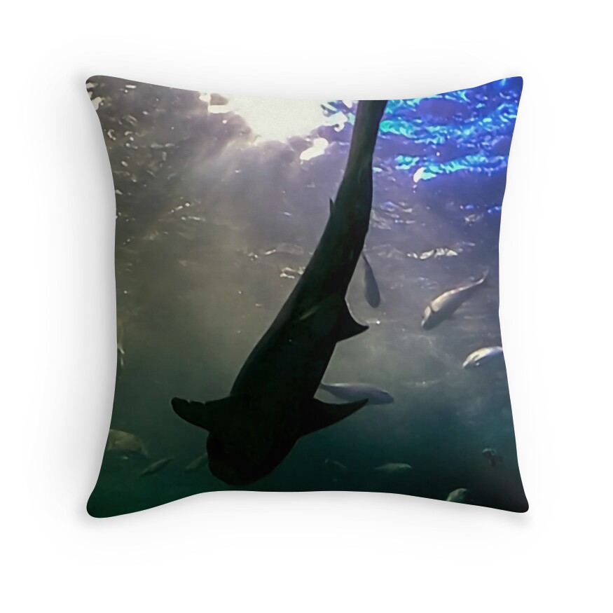 shark throw pillow