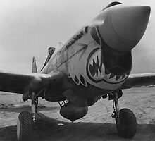 P-40 Warhawk -- World War 2 by warishellstore