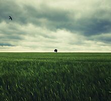 Alone by Norbert Fritz