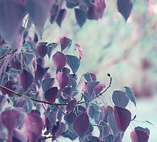 Summer thoughts. by Beata Czyzowska Young