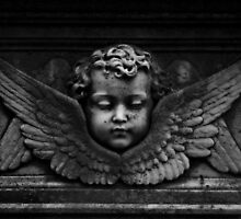Cherub by Kerri Ann Crau