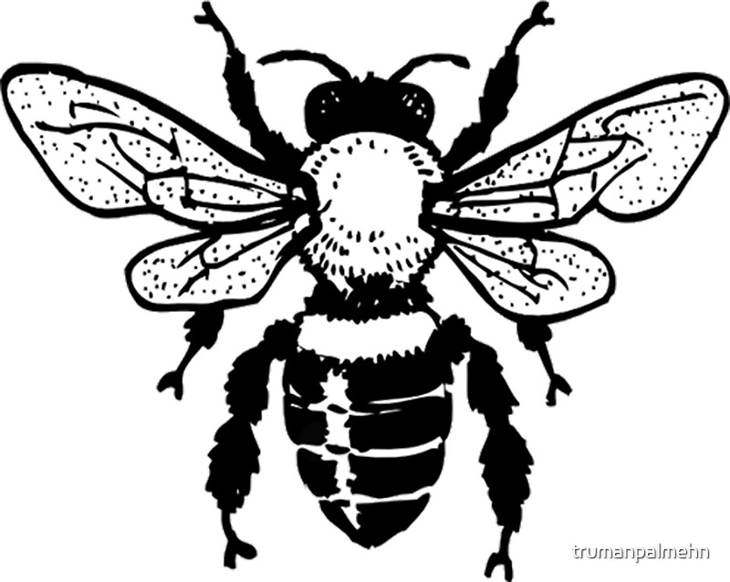 Insect Stickers Redbubble