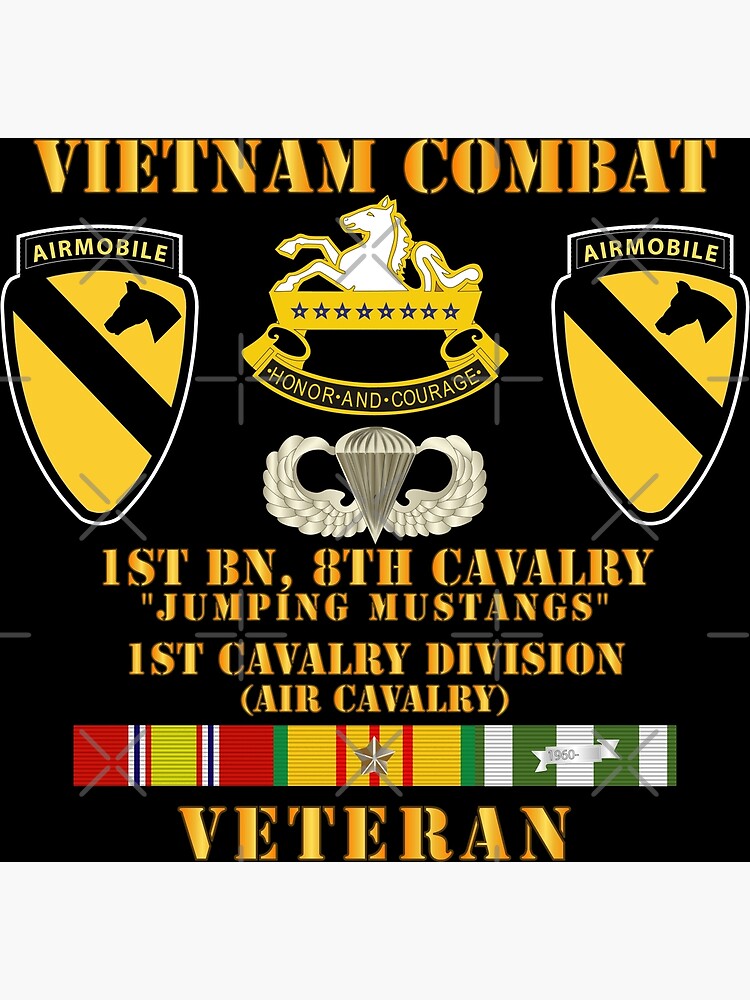 Army Vietnam Combat Vet W St Bn Th Cav St Cav Jumping Mustangs