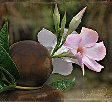 Gratitude is the fairest blossom by SandraRos