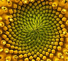 Natural Geometries by GoddessChrissy