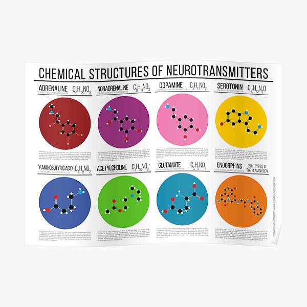 Chemical Structures Of Neurotransmitters Poster For Sale By