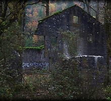 Once Upon A Time by Sheri Bawtinheimer