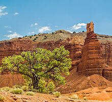Desert Survivor - Capitol Reef NP by Kenneth Keifer