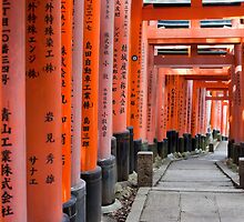 Kyoto Torii gates by photoeverywhere