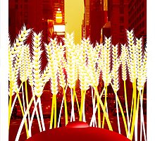 Holden, the Rye, and NYC by coffeeholic