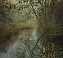 The Lonely River by Sarah Jarrett