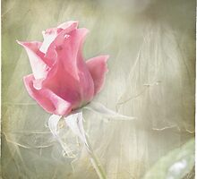 Reminiscing by Linda Lees