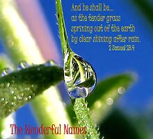 Tender Grass by aprilann