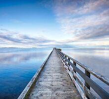 C O R N W A L L I S • W H A R F - W E S T by Brian Lai