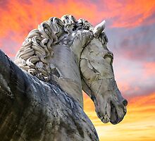 Noble Horse Strong Sky by dovelupo