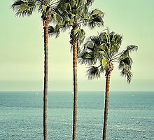 Three Day Weekend by RichCaspian