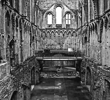 Glastonbury Abbey by eddiechui