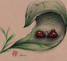 The Ladybug Family by Rebecca Rees