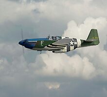 P51 Mustang Gallery - No1 by Pat Speirs