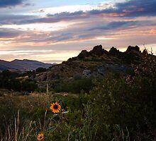 Devil's Backbone Loveland Colorado by johnny gomez