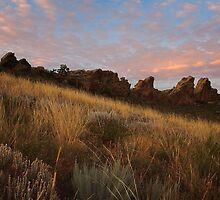 Devils Backbone #21 Loveland Colorado by johnny gomez