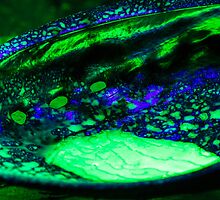 Let the glow begin by Symbiosis - Justin Brosey