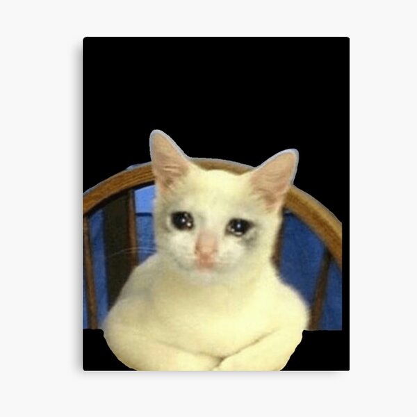 Lienzo Meme De Silla De Gato Llorando Meme De Gato Llorando Meme De