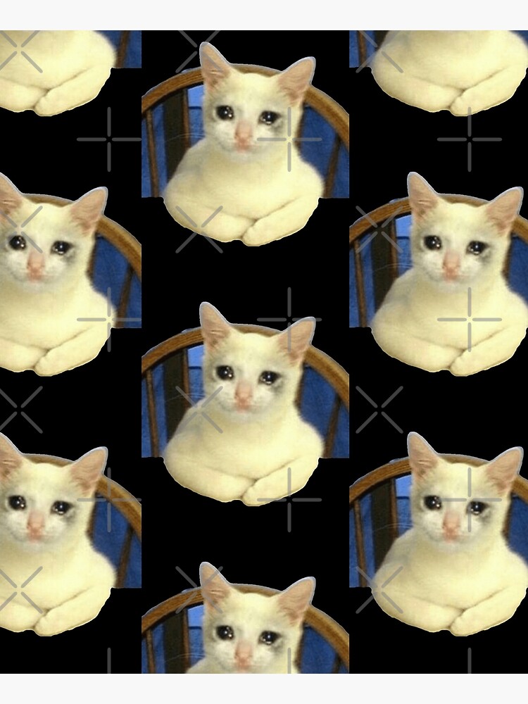 Crying Cat Chair Meme Crying Cat Meme Crying Cat Chair Meme Cat