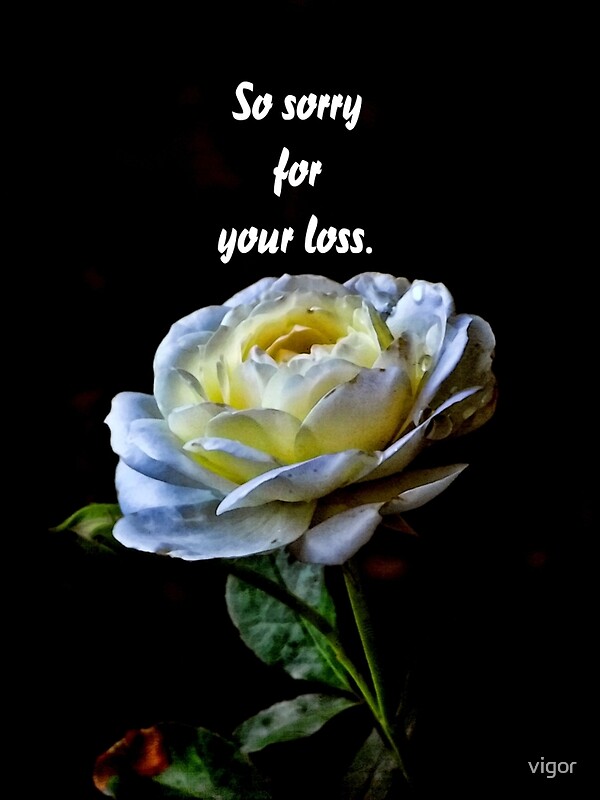 "So sorry for your loss" by vigor | Redbubble