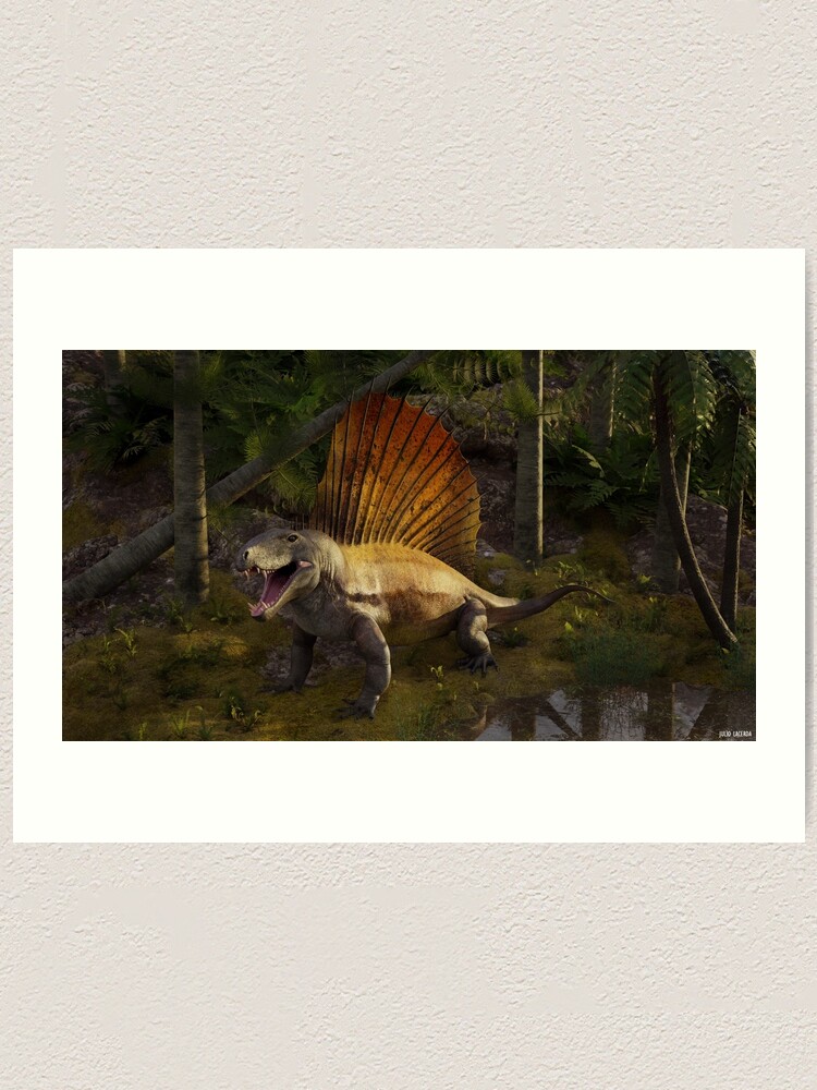 Dimetrodon Art Print For Sale By Julio Lacerda Redbubble