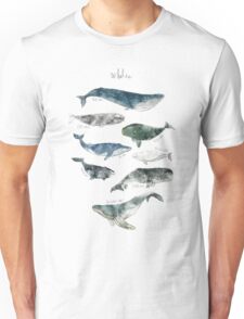 humpback whale shirt