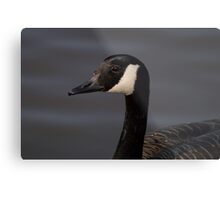 redbubble canada goose redbubble canada goose