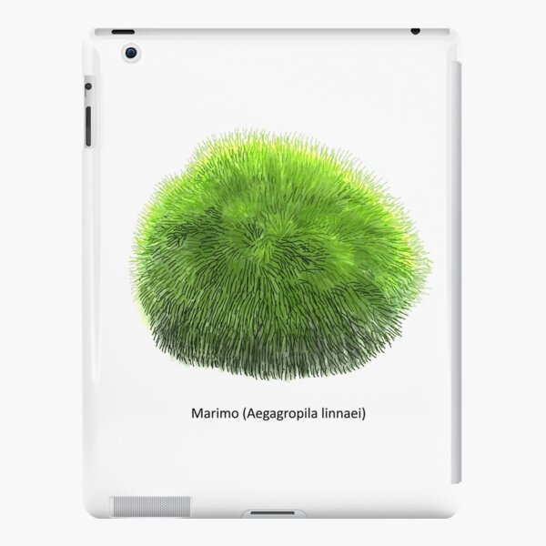 Coque Et Skin Adh Sive Ipad Aegagropila Linnaei Connue Sous Le Nom