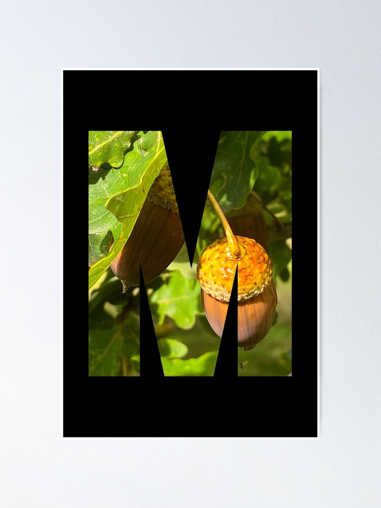 Acorns In The Woods Monogram The Letter M Poster For Sale By